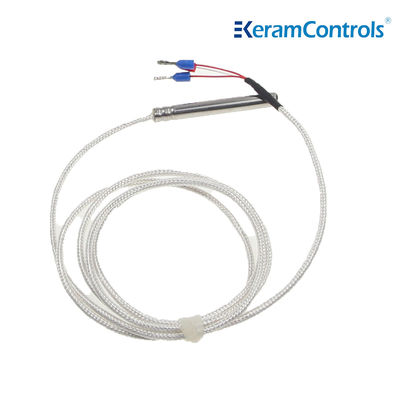 PTFE 5K 10K NTC Sensör Vericiler 2 Telli Paslanmaz 316