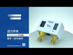 Su Pompası İçin Paslanmaz çelik Çift Ayarlanabilir Basınç Anahtarları