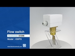 Sıvı Akış Ölçümü Paddle Sensing Element ile Akış Anahtarları -20C-120C sıcaklık aralığı